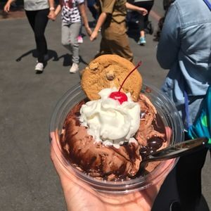 Meet your Posher, Emma